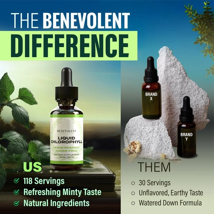 Liquid Chlorophyll Supplement factory