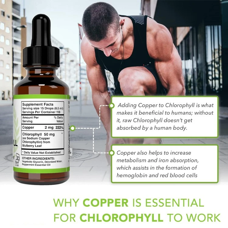 Liquid Chlorophyll Supplement high quality